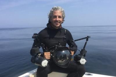 Keith Ellenbogen Brings Underwater Photography to the New England Aquarium